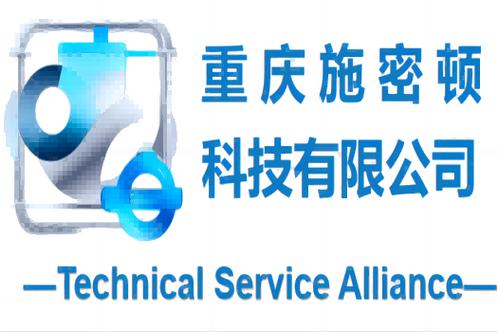 從技術(shù)服務(wù)到數(shù)據(jù)支撐 企業(yè)數(shù)字化轉(zhuǎn)型的全鏈條能力構(gòu)建